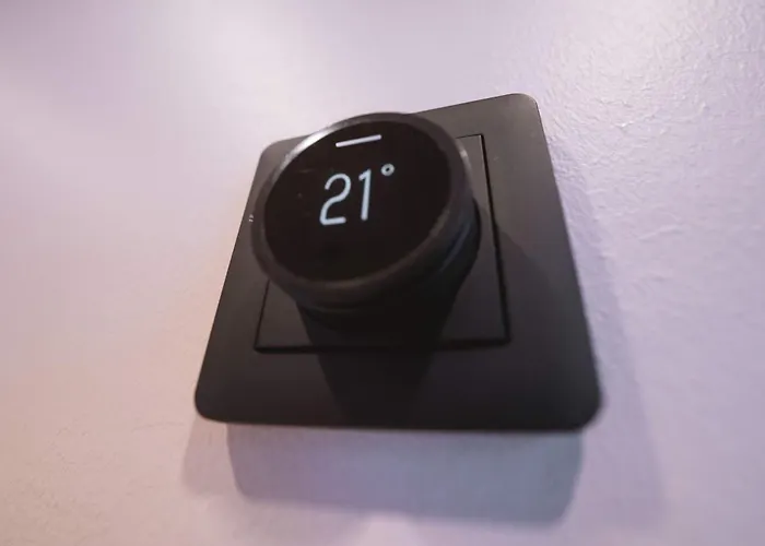 Capercaillie Levi #6 *