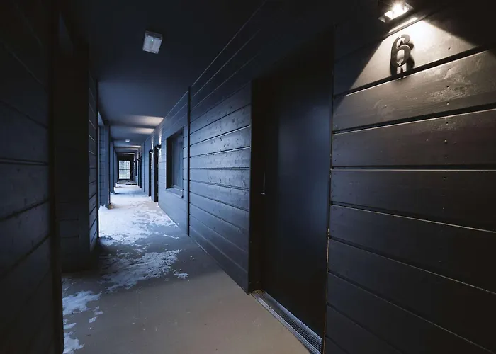 Capercaillie Levi #6 Kittilä