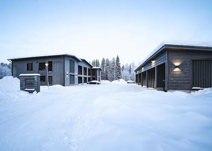 Appartement Capercaillie Levi #6