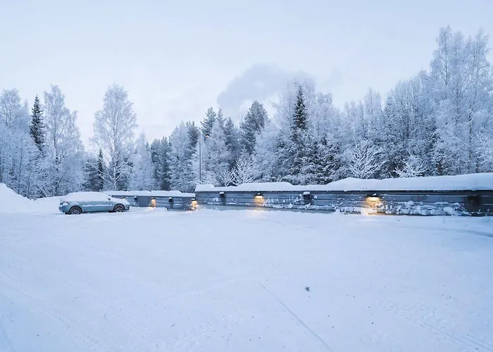 Capercaillie Levi #6 Appartement *