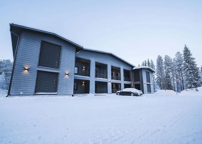 Capercaillie Levi #6 Kittilä