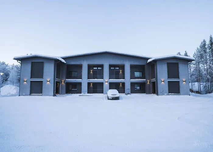 Capercaillie Levi #6 * Kittilä